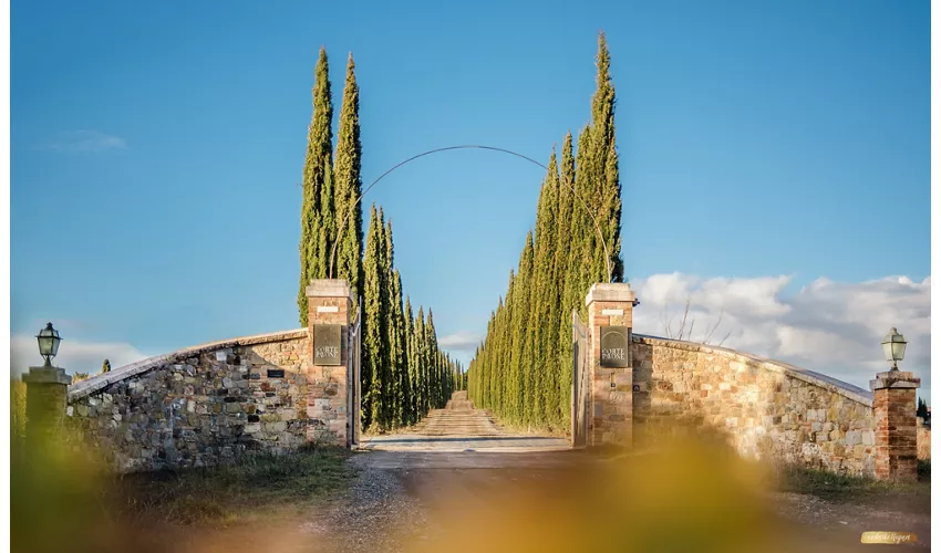 CORTE PAVONE - Brunello di Montalcino Winery