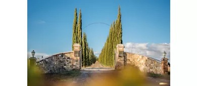CORTE PAVONE - Brunello di Montalcino Winery