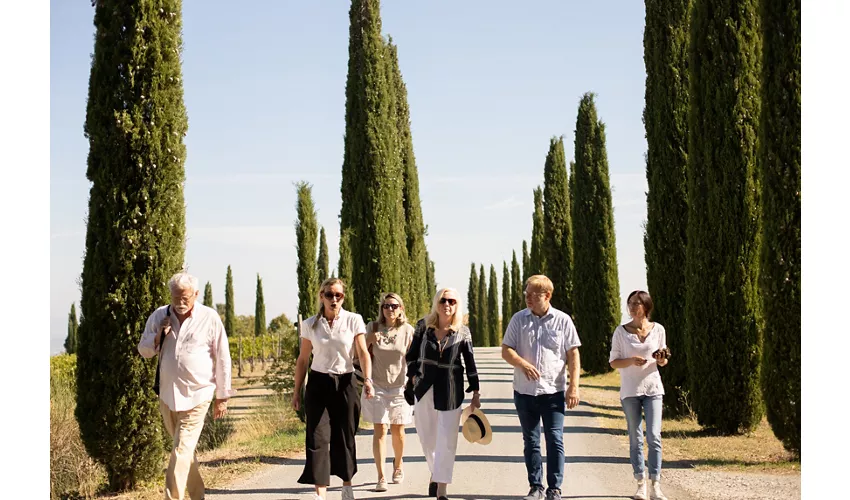 CORTE PAVONE - Brunello di Montalcino Winery