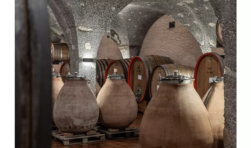 CORTE PAVONE - Brunello di Montalcino Winery