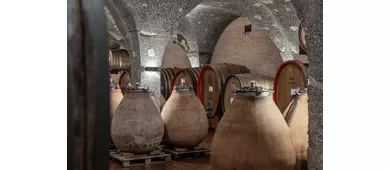 CORTE PAVONE - Brunello di Montalcino Winery