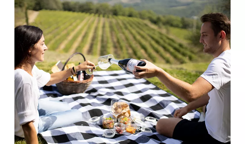CORTE PAVONE - Brunello di Montalcino Winery