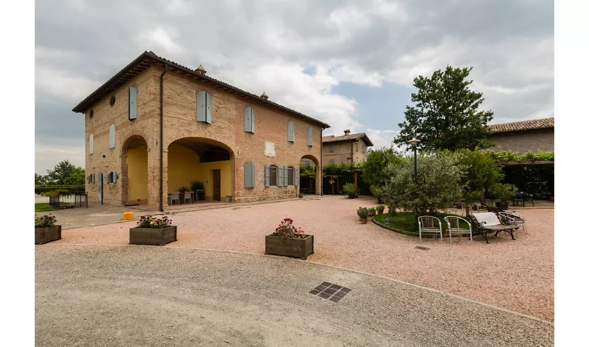 Cavaliera