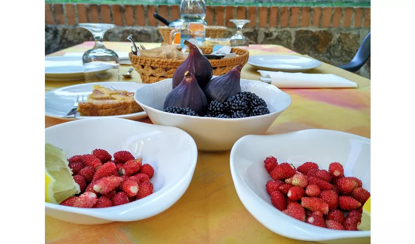 Agriturismo Colle del Barbarossa
