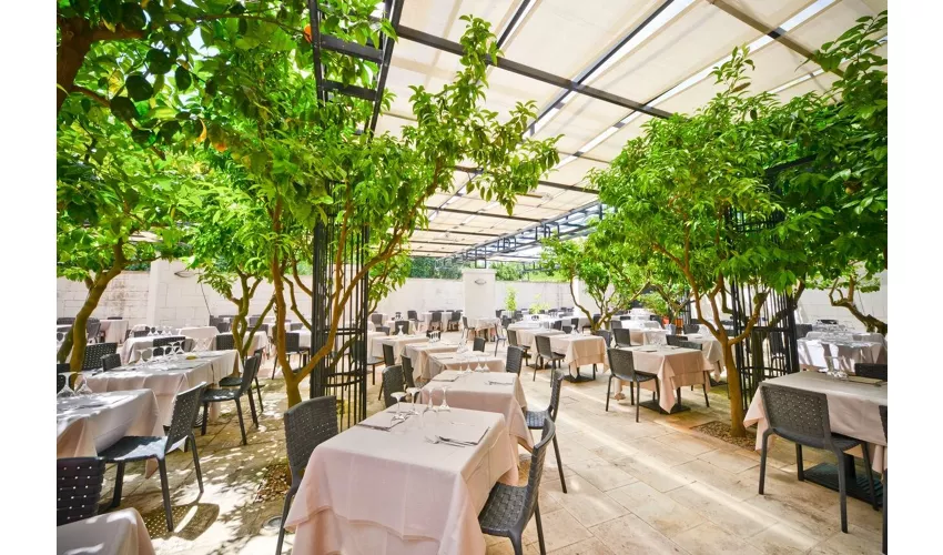 Ristorante Grand Hotel Masseria Santa Lucia