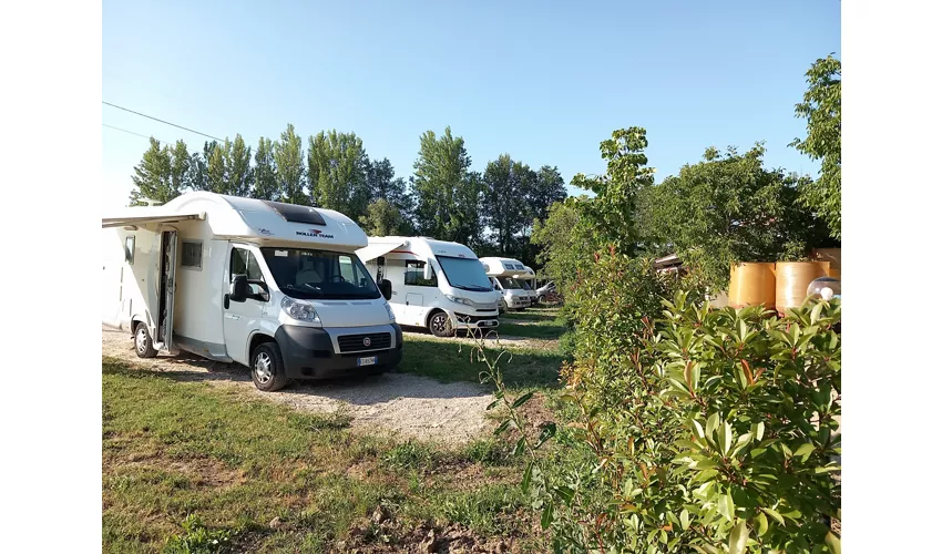 Enoturismo Dofinè