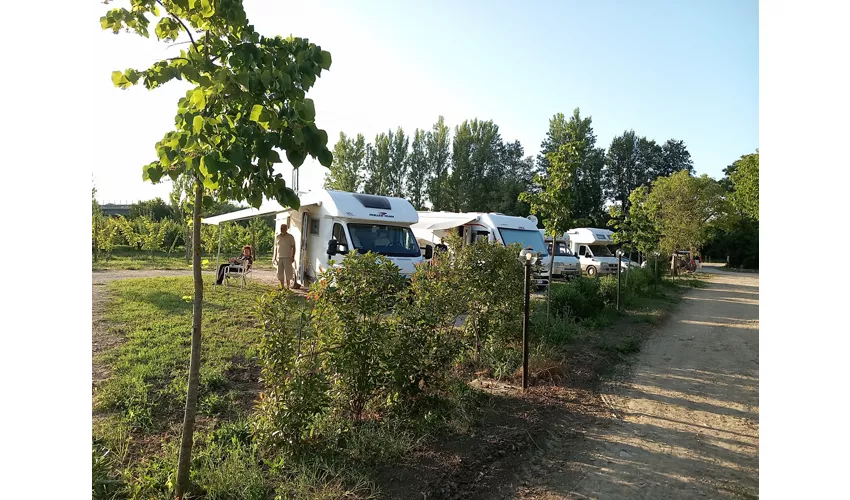 Enoturismo Dofinè
