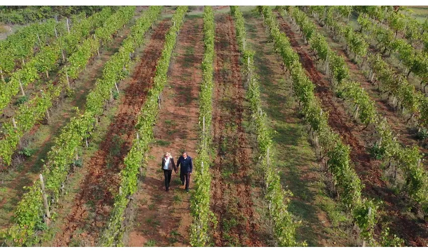 Chateau Valsania Vini Italia