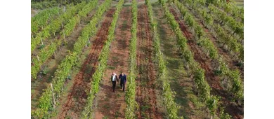 Chateau Valsania Vini Italia