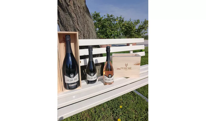 Perché Vini
