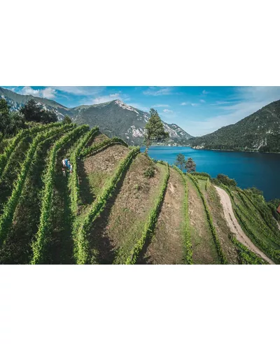 Sartori Organic Farm