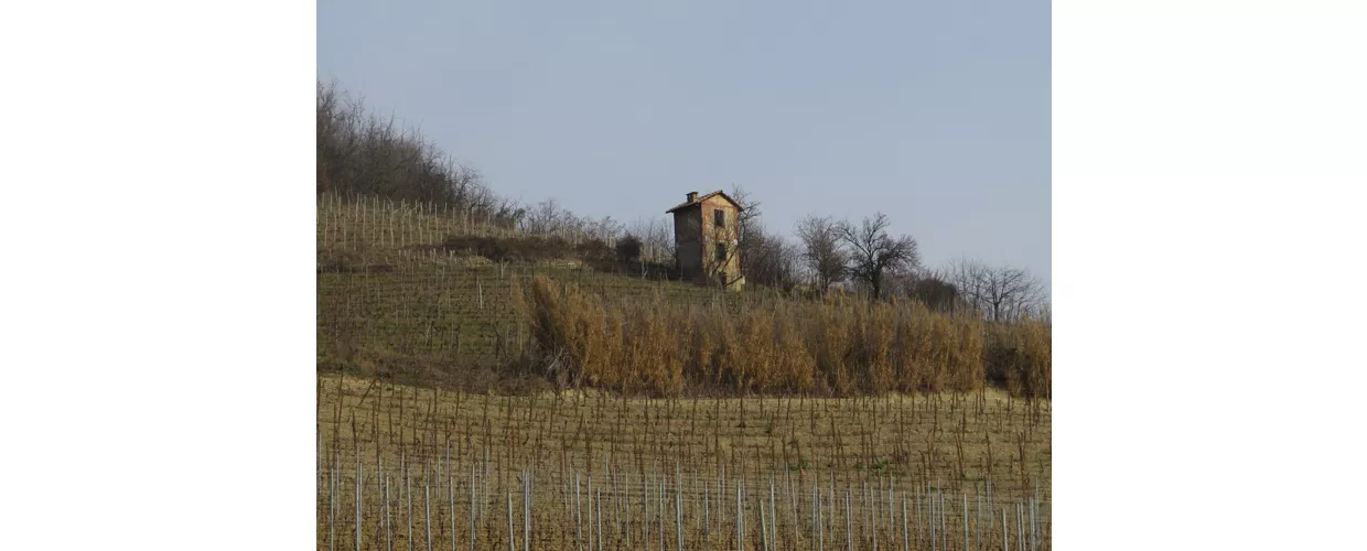 La Corte