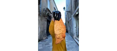 Fusci mói