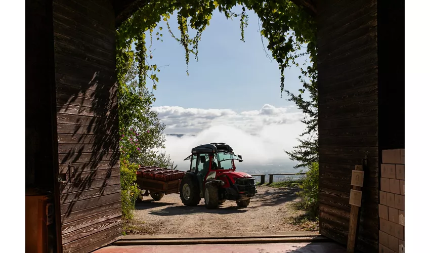 Azienda Biosostenibile Trebotti