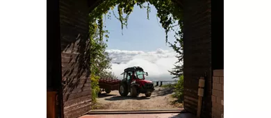 Azienda Biosostenibile Trebotti