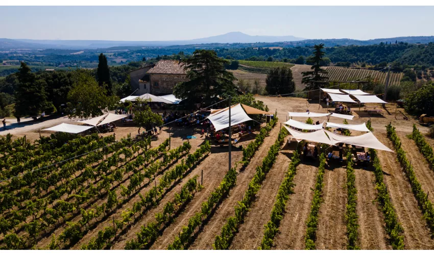 Azienda Biosostenibile Trebotti