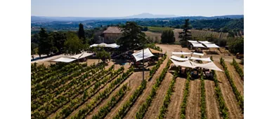 Azienda Biosostenibile Trebotti