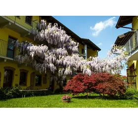 Agriturismo tra Serra e Lago
