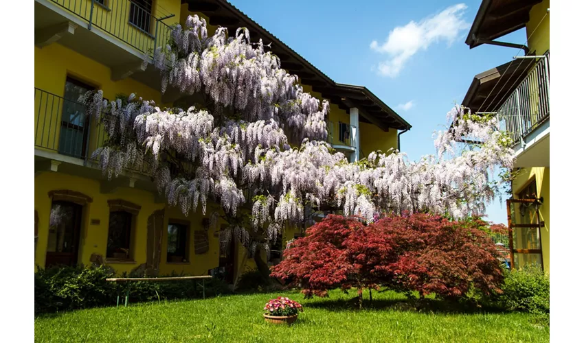 Agriturismo tra Serra e Lago