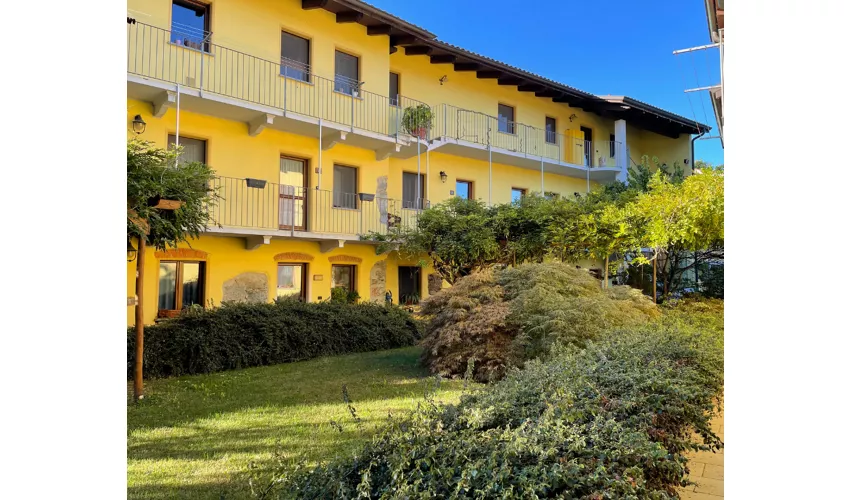 campo di girasoli - 2