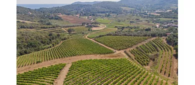 Azienda Agricola Montefabbrello