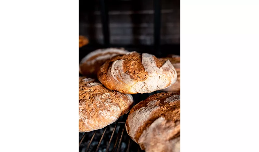 Azienda Agricola Montefabbrello