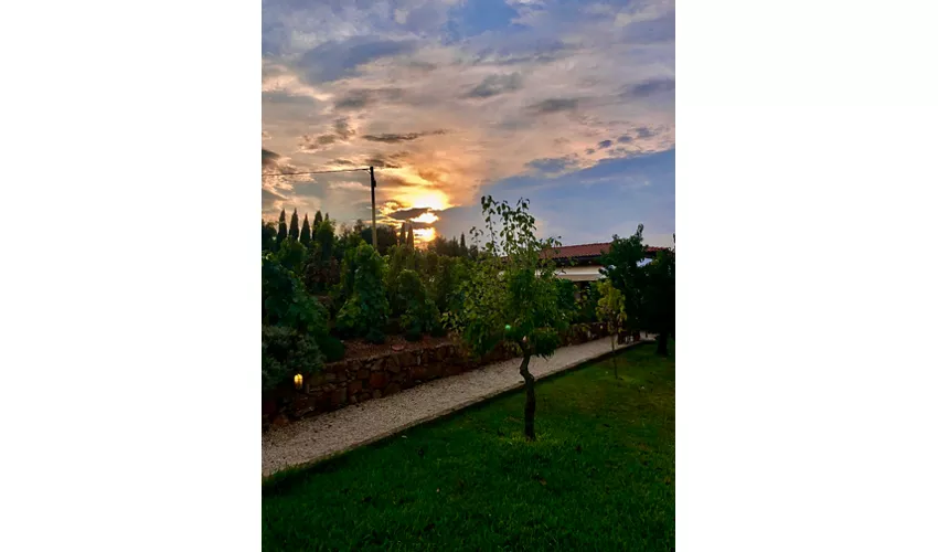 Azienda Agricola Montefabbrello