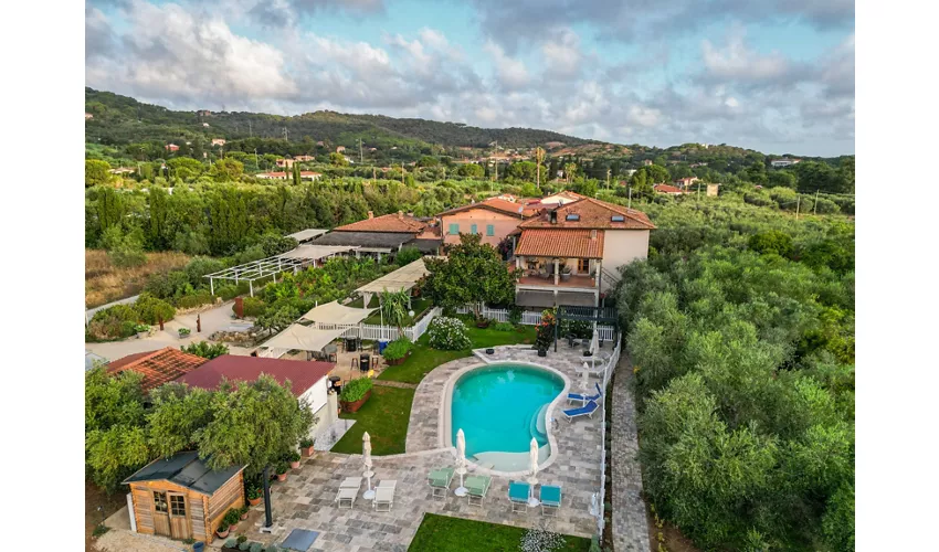 Azienda Agricola Montefabbrello