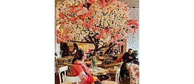 Botanic Bistrò Pesaro & Roof 281