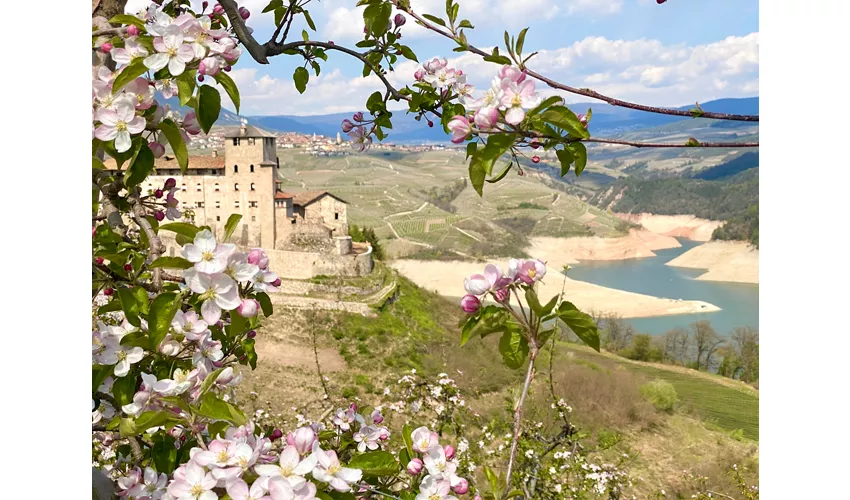 Azienda per il Turismo Val di Non