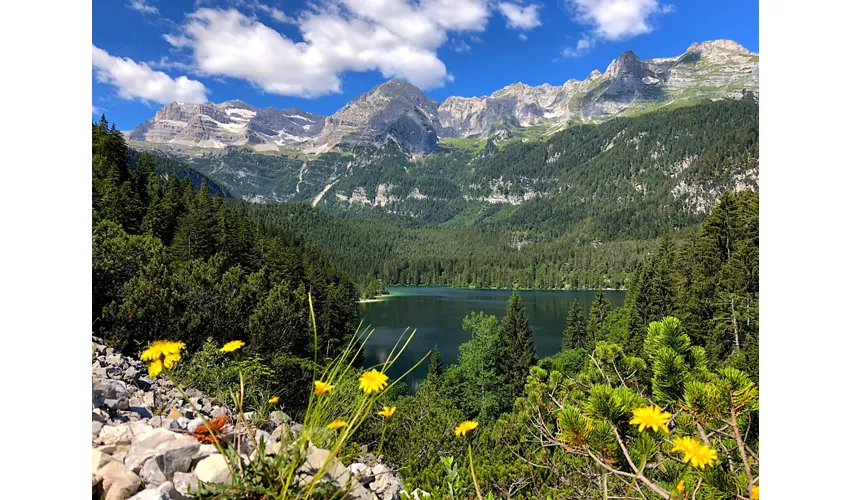 Azienda per il Turismo Val di Non