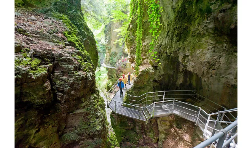 Azienda per il Turismo Val di Non