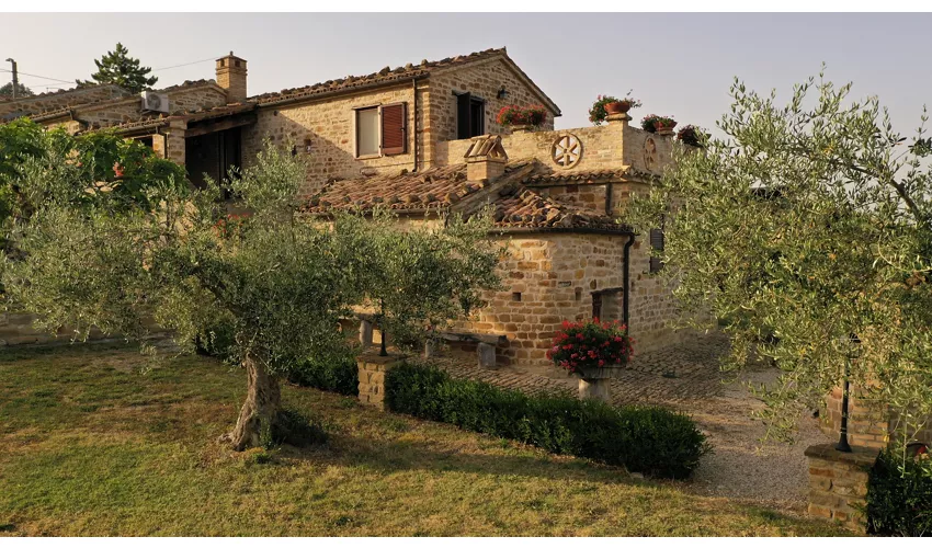 Azienda Agrituristica Colle San Giorgio