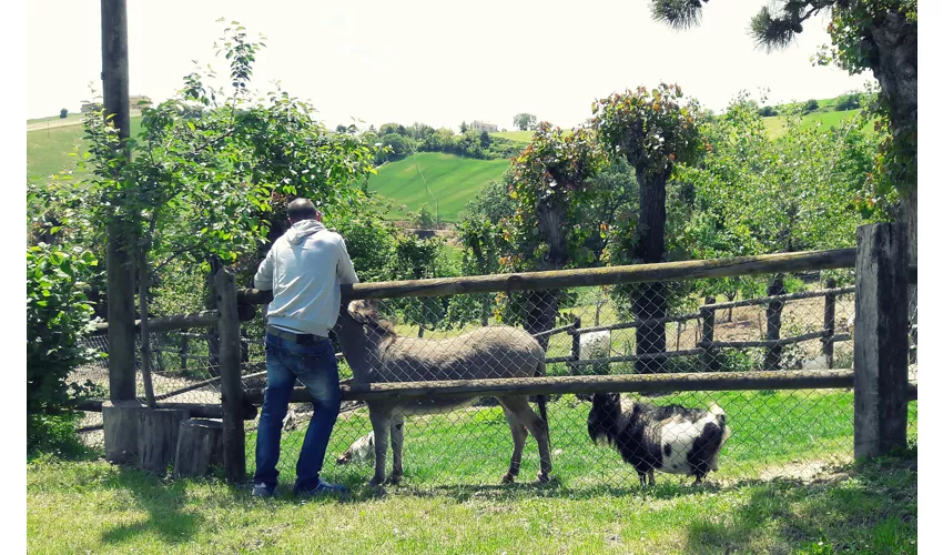 Azienda Agrituristica Colle San Giorgio