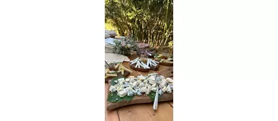 Il Giglio Agriturismo