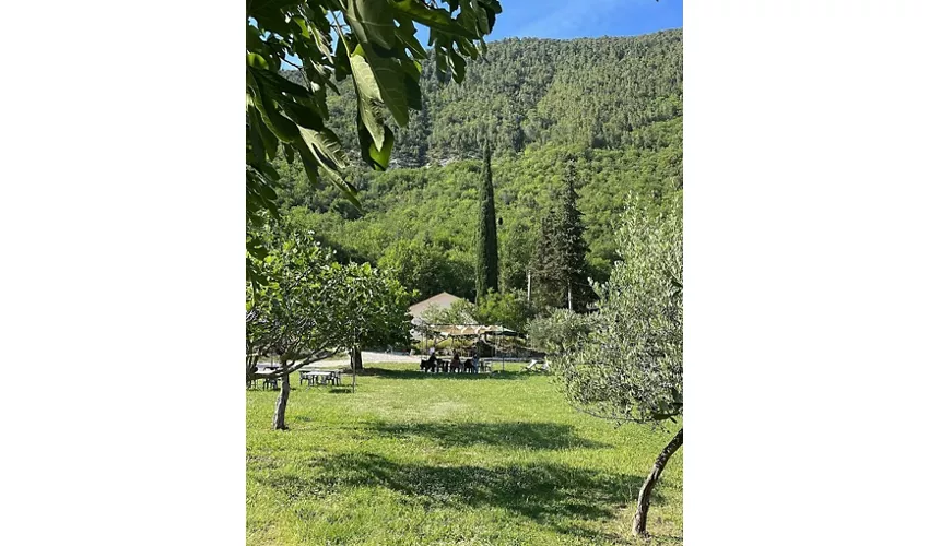 Bartulín
