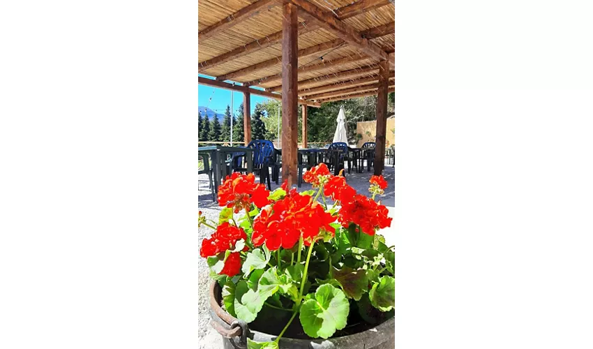Bartulín