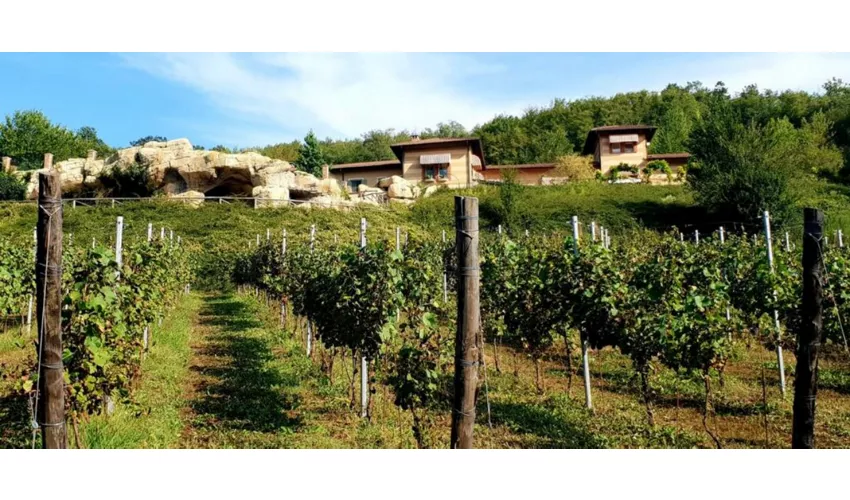 Agriturismo Tenuta Pian D'Attesio