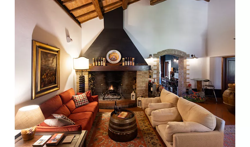 Il Poggio degli Olivi