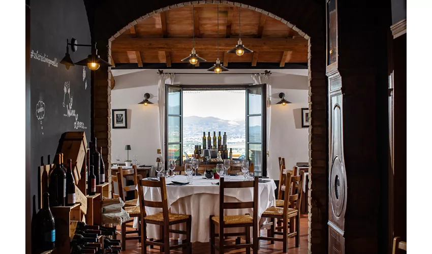 Il Poggio degli Olivi