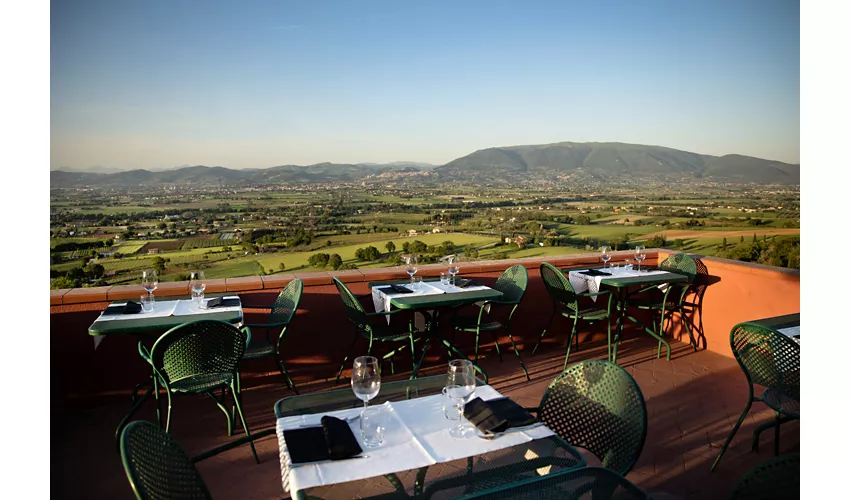 Il Poggio degli Olivi