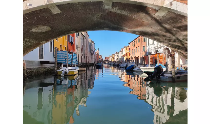 Bosetti Tours