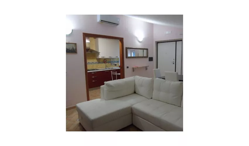 Stella Maris Holidays