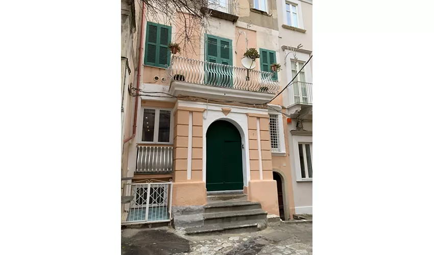 Domus Centro