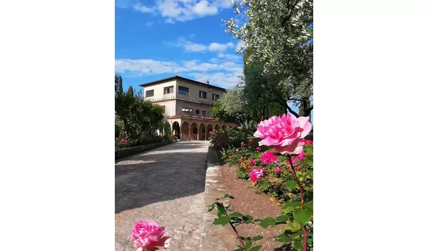 Villa Paradiso