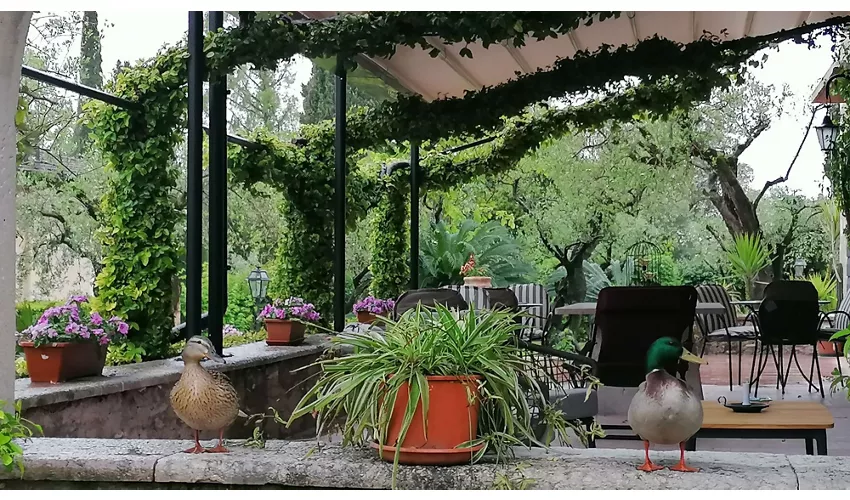 Villa Paradiso