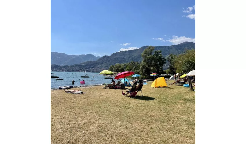 Camping Eden