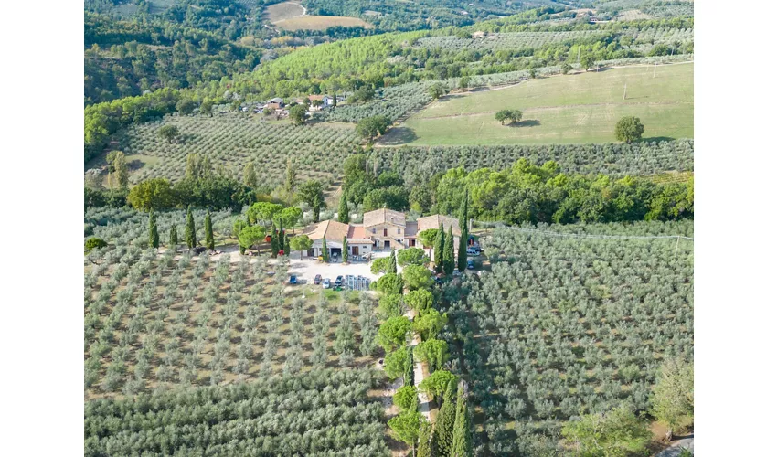 Agriturismo I Getsemani - Casa Vacanze Frantoio