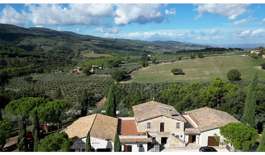 Agriturismo I Getsemani - Casa Vacanze Frantoio