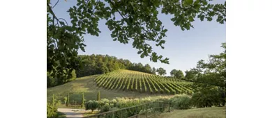 Agriturismo Tenuta la Torraccia
